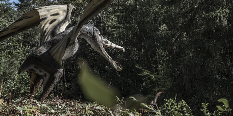 Najväčší lietajúci plaz Austrálie nemal ďaleko od bájnych drakov