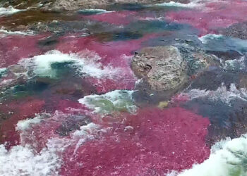 Kde by ste mali hľadať „tekutú dúhu“?