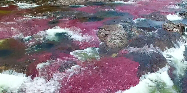 Kde by ste mali hľadať „tekutú dúhu“?