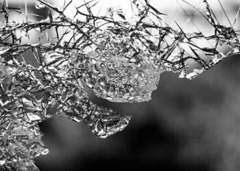 Inšpirácia na výrazne odolnejšie sklo vzišla z prírody