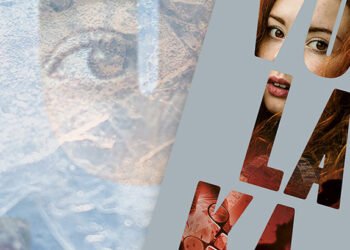 Volavka …  voľné pokračovanie detektívneho príbehu Červ