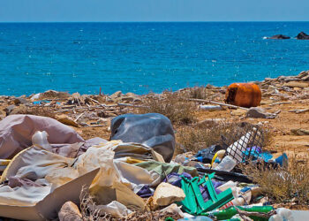 Zachránia nás pred plastmi nové mikróby?