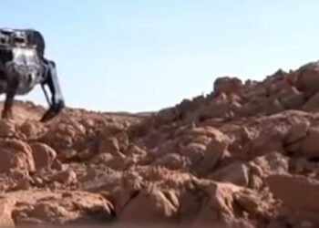 Po robotickom oslíkovi prišiel jak