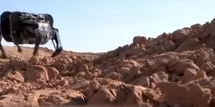 Po robotickom oslíkovi prišiel jak