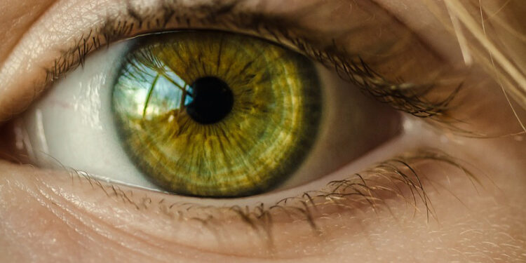Vedeli ste, že … čo o nás prezrádzajú očné zreničky?