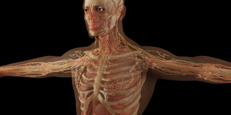 Fascinujúce fakty o ľudskom tele