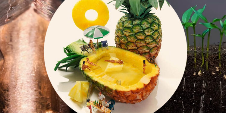 Kreatívne profily na sociálnych sieťach, ktoré vám spríjemnia deň