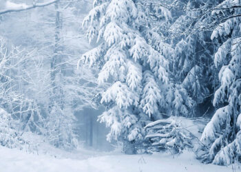 Biela smrť: Dodnes neprekonaná legenda