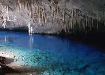 Brazílske podzemie ukrýva kosti vyhynutých zvierat