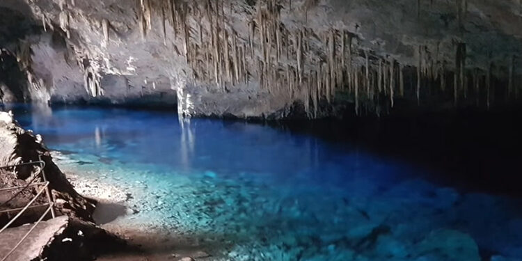 Brazílske podzemie ukrýva kosti vyhynutých zvierat