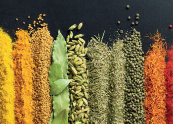 Poznáte najdrahšie koreniny sveta?