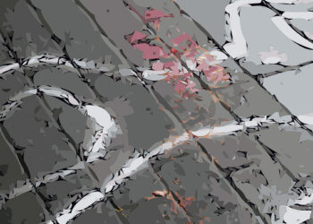 Vedeli ste, že … koľko rokov má najmladší masový vrah?