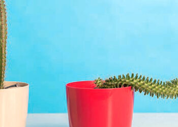 Keď chuť na sex slabne…