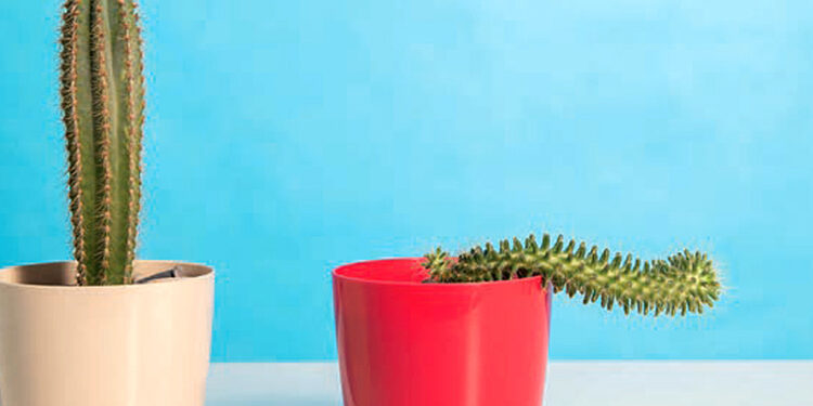 Keď chuť na sex slabne…