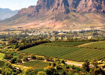 Najlepšie víno Afriky: Ktoré si vybrať?