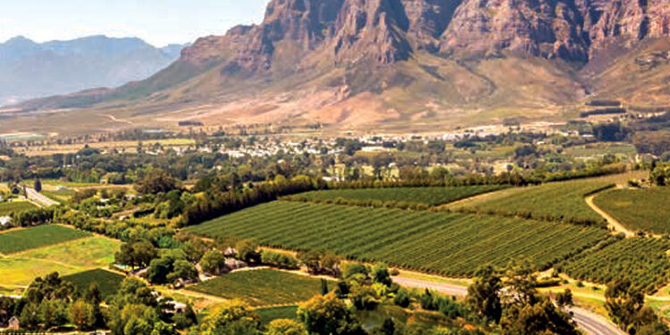 Najlepšie víno Afriky: Ktoré si vybrať?