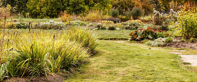 Zazimovanie trávnika: Priznajte sa – aj vy zabúdate na bod č. 7?