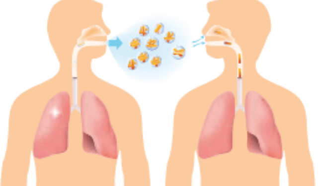TUBERKULÓZA- choroba stará ako ľudstvo samo