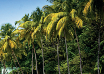 FRANCÚZSKA GUYANA