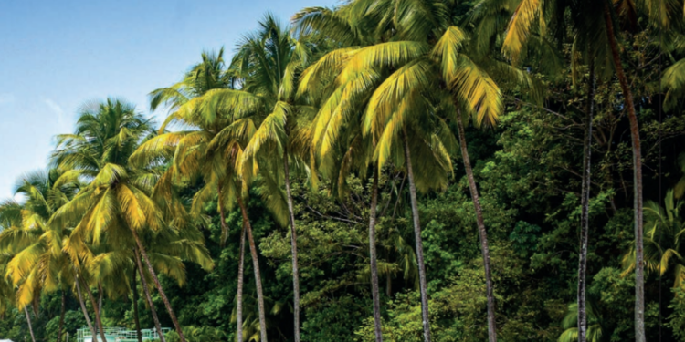 FRANCÚZSKA GUYANA