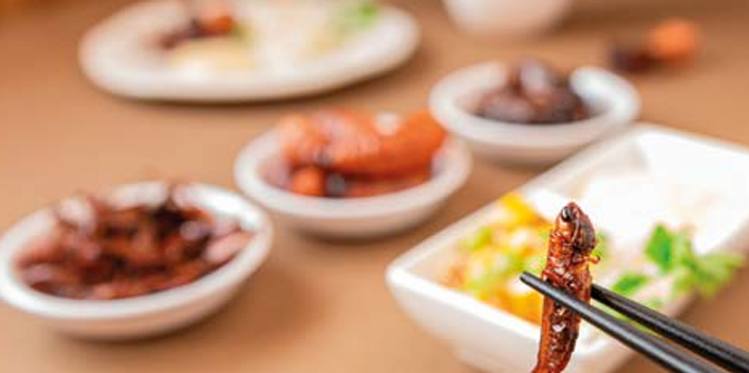 Najnechutnejšie jedlá sveta