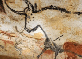 Príbeh kravy Ľudia sledovali skazu jej predkov