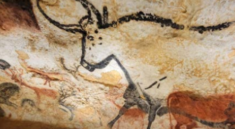 Príbeh kravy Ľudia sledovali skazu jej predkov